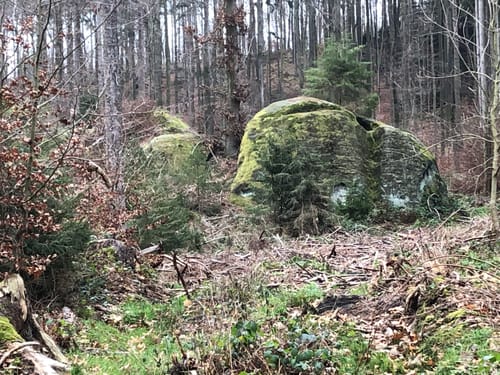 Lutter am Barenberge - Neuwallmoden