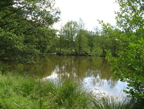 Spessartbiken 15: Sinntal-Runde