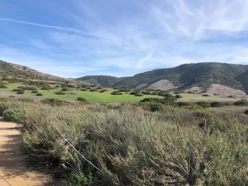 10 Best Hikes and Trails in Crystal - EyJidWNrZXQiOiJhc3NldHMuYWxsdHJhaWxzLmNvbSIsImtleSI6InVwbG9hZHMvcGhvdG8vaW1hZ2UvMjQ5OTk4ODIvMTVkODczMzBiZGEyMDNkZWQ2YzU5MTg3NTA5ZjQwMzQuanBnIiwiZWRpdHMiOnsidG9Gb3JtYXQiOiJ3ZWJwIiwicmVzaXplIjp7IndpZHRoIjo1MDAsImhlaWdodCI6NTAwLCJmaXQiOiJpbnNpZGUifSwicm90YXRlIjpudWxsLCJqcGVnIjp7InRyZWxsaXNRdWFudGlzYXRpb24iOnRydWUsIm92ZXJzaG9vdERlcmluZ2luZyI6dHJ1ZSwib3B0aW1pc2VTY2FucyI6dHJ1ZSwicXVhbnRpc2F0aW9uVGFibGUiOjN9fX0=