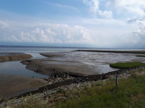 Langwarder Groden