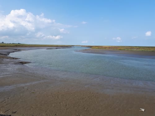 Langwarder Groden