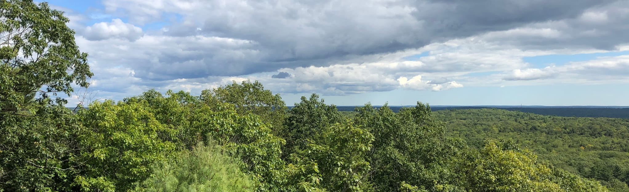 Bradbury Mountain Northern Loop Trail Maine AllTrails