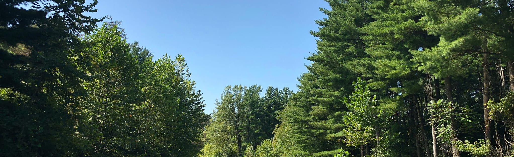 Shingle Oak Trail, Ohio 35 Reviews, Map AllTrails