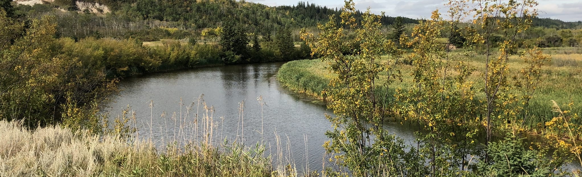 River Flats Trail, Alberta, Canada 43 Reviews, Map AllTrails