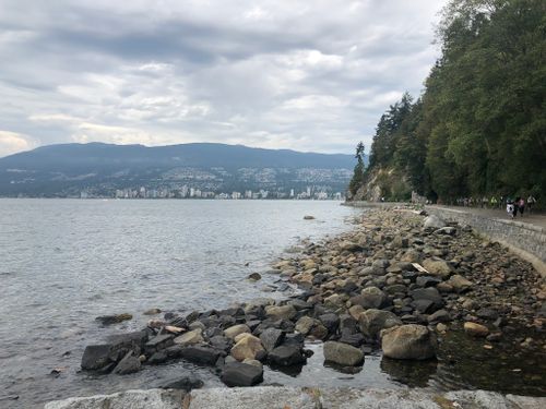 are dogs allowed in stanley park beaches