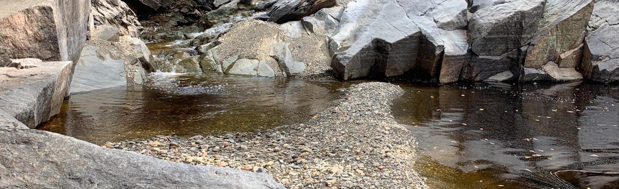 Lake Francis Trail 15 Reviews, Map New Hampshire AllTrails