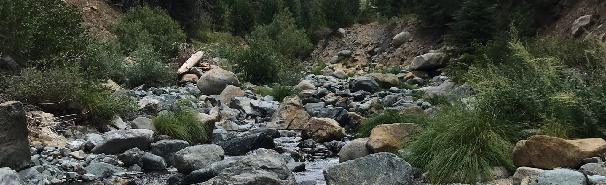 East Fork of Coffee Creek , California Map, Guide AllTrails