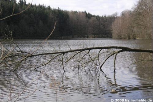 Karpfenweiher und Kirchen im Aischgrund