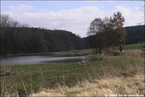 Karpfenweiher und Kirchen im Aischgrund