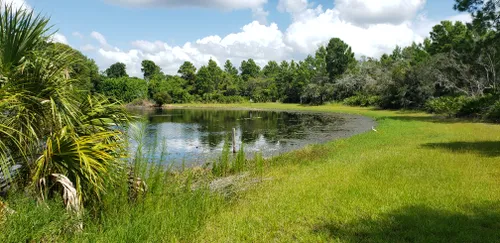 10 Best Bird Watching Trails in Orlando | AllTrails