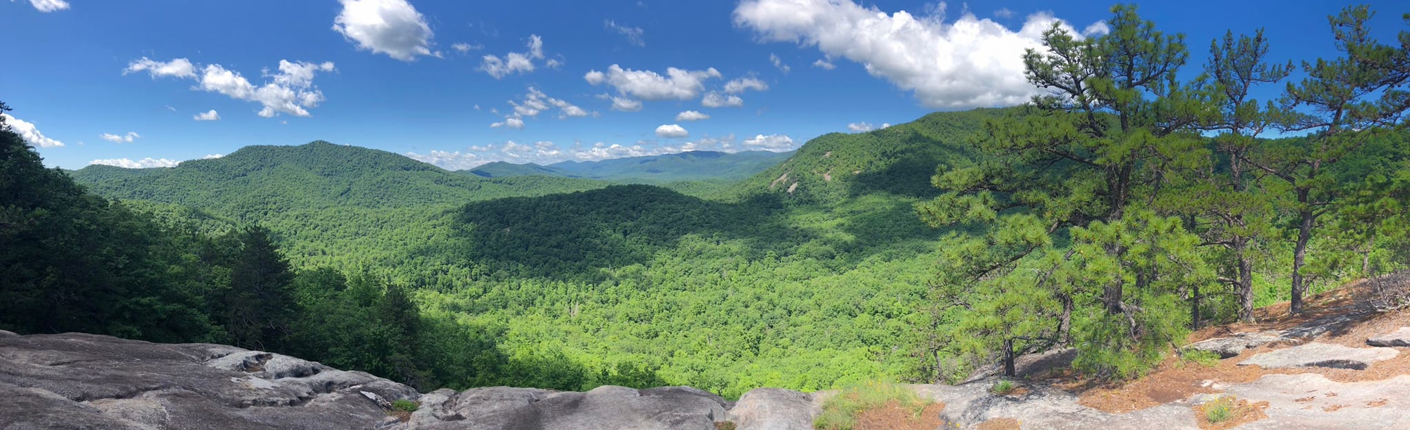 Pilot Cove Slate Rock Trail 181 Reviews, Map North Carolina AllTrails