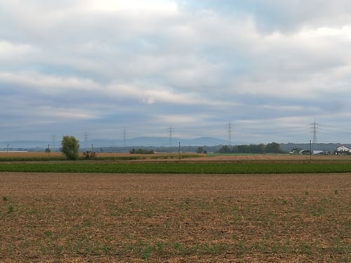 Brügelfelder Hof Rundweg