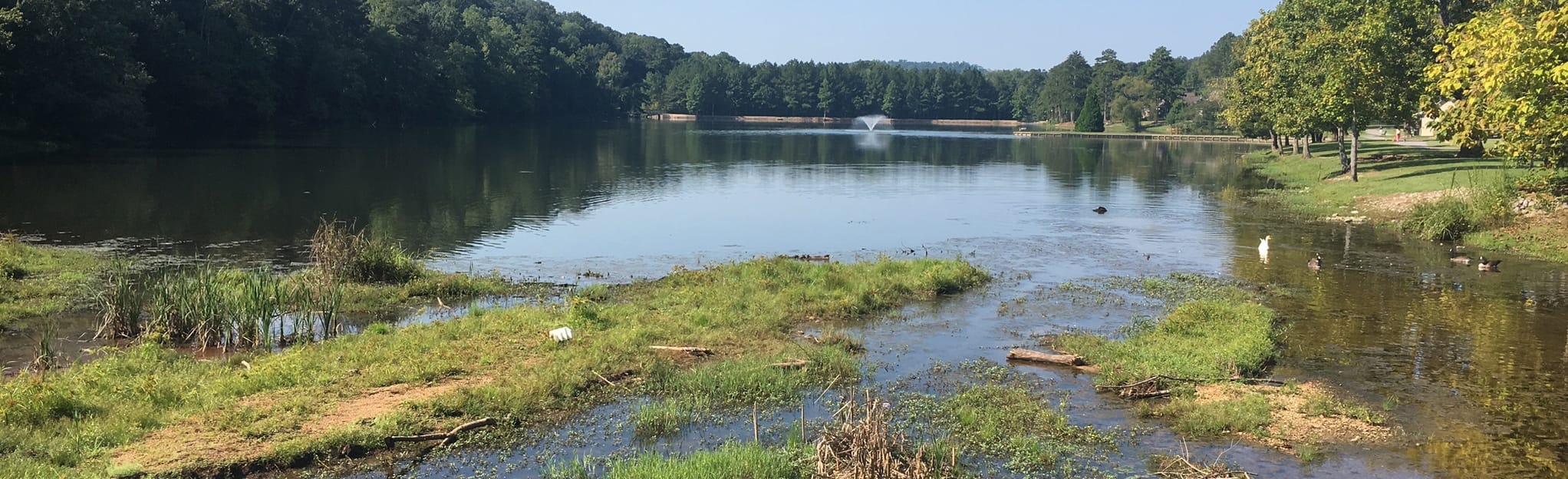 Cosby Lake Loop, Alabama 145 Reviews, Map AllTrails