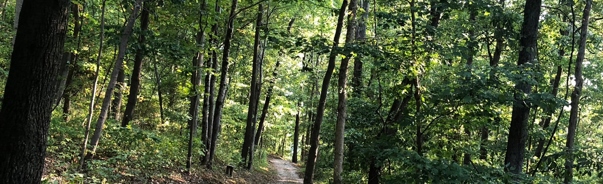 Garrison Trail, West Virginia 27 Reviews, Map AllTrails