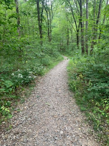 Best 10 Hikes and Trails in Henderson-Swasey Town Forest | AllTrails