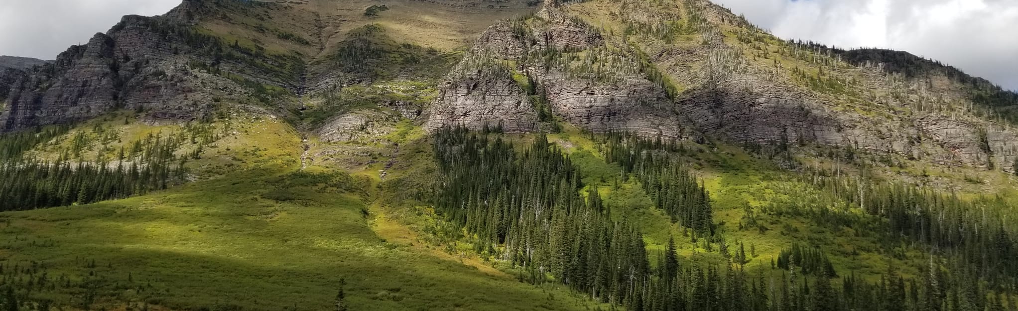 NyackCoal Creek Loop 8 Reviews, Map Montana AllTrails