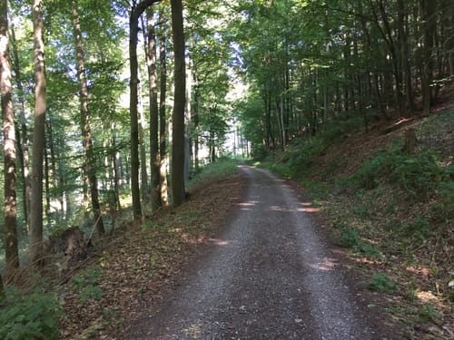 Elmshausen rund um dem Hohberg