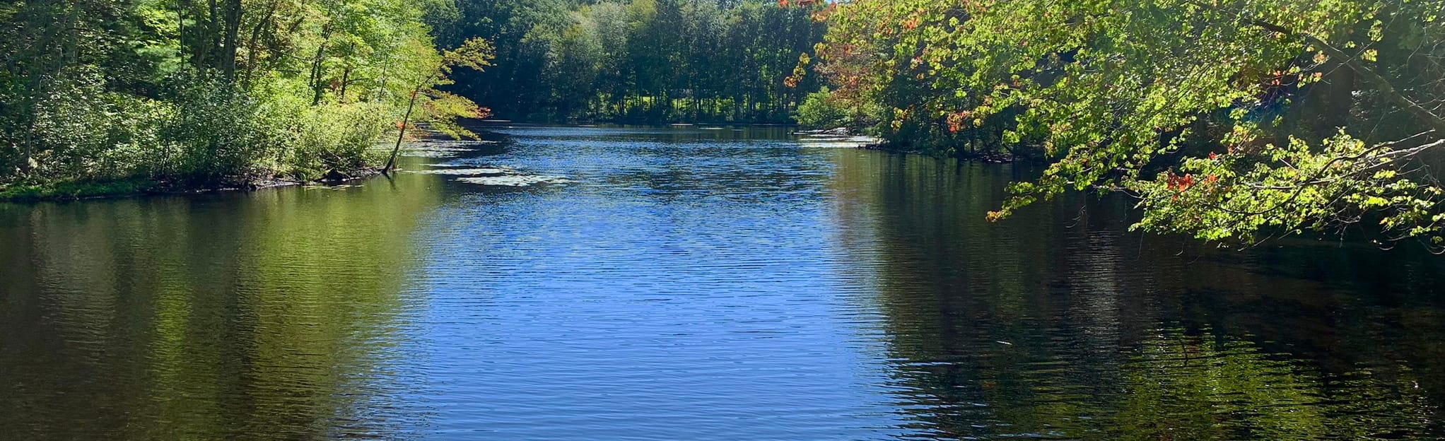 ACL Woodlock Trail System Loop 71 Reviews, Map New Hampshire AllTrails