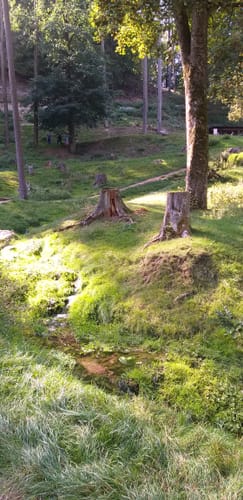 Wildpark Hundshaupten