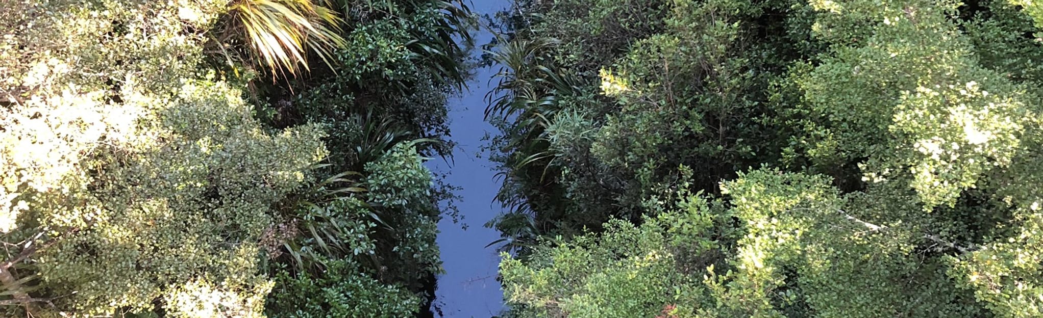 Pillars of Hercules, Waikato, New Zealand 8 Reviews, Map AllTrails