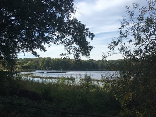 Wannsee - Pfauinsel - Glienicke