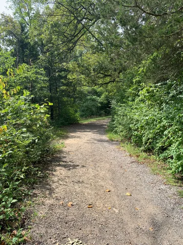 10 Best Hikes and Trails in Wyandotte County Lake Park | AllTrails