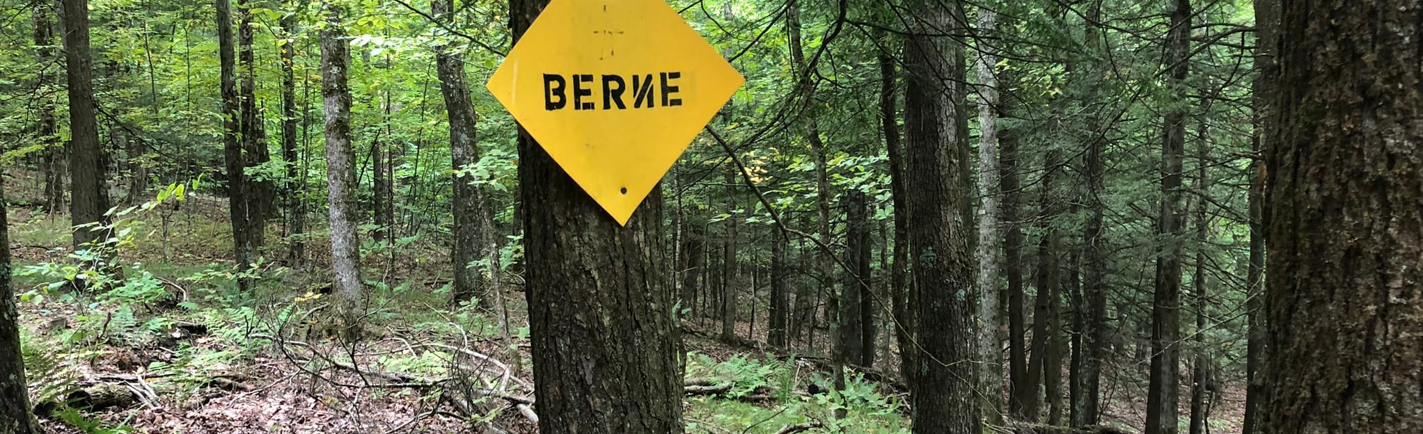 The Long Path Cotton Hill Rd to Canady Hill, New York 16 Reviews