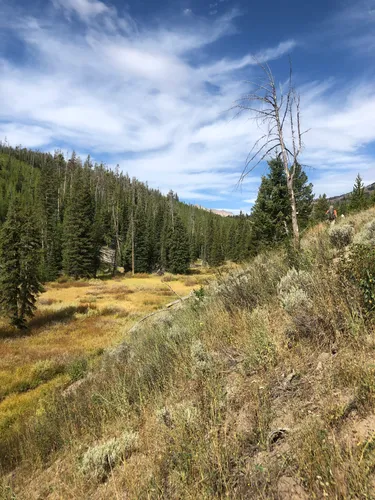 BEST BACKPACKING TRAILS IN YELLOWSTONE NATIONAL PARK visual data 7