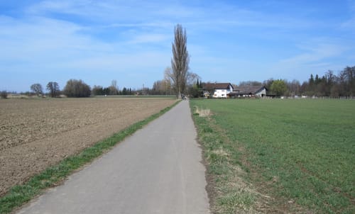 Rauenberg - Golfplatz St Leon-Rot -Malschenberg