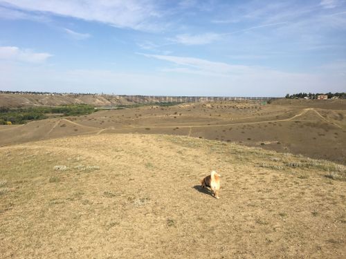 2023 Best 10 Trails and Hikes in Lethbridge | AllTrails