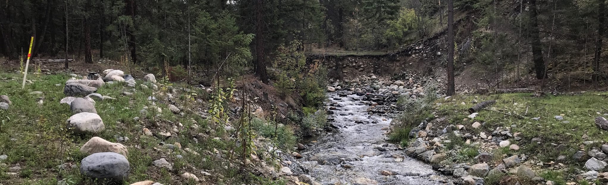 Vernon Creek Skunk Cabbage and Falls trail 45 Reviews, Map British