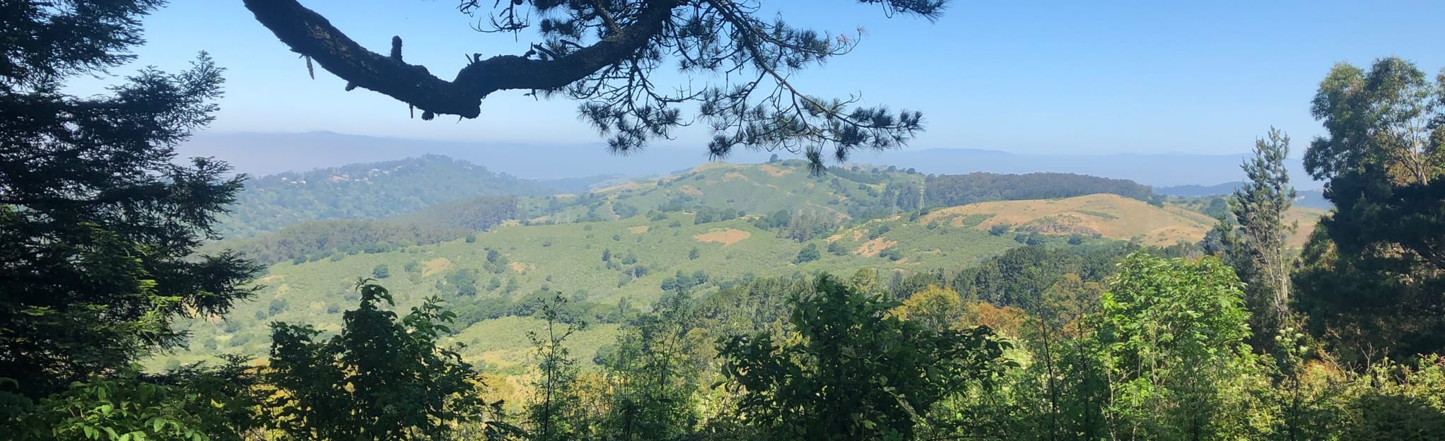 Quarry Trail to Lower Big Springs Trail Loop, California 297 Reviews