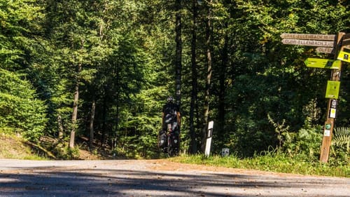 Rundwanderweg Wald-Michelbach Falters Ruhe 6: Geiersberg-Weg