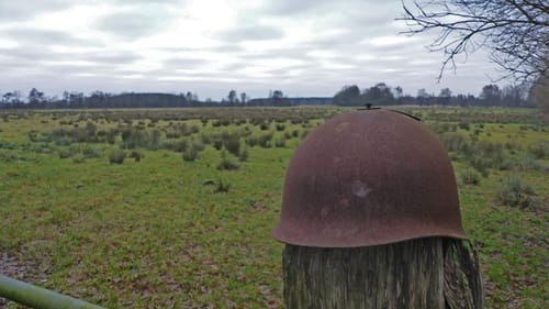 Wanderroute 14: Ochsenweg - Sorgwohlder Binnendünen
