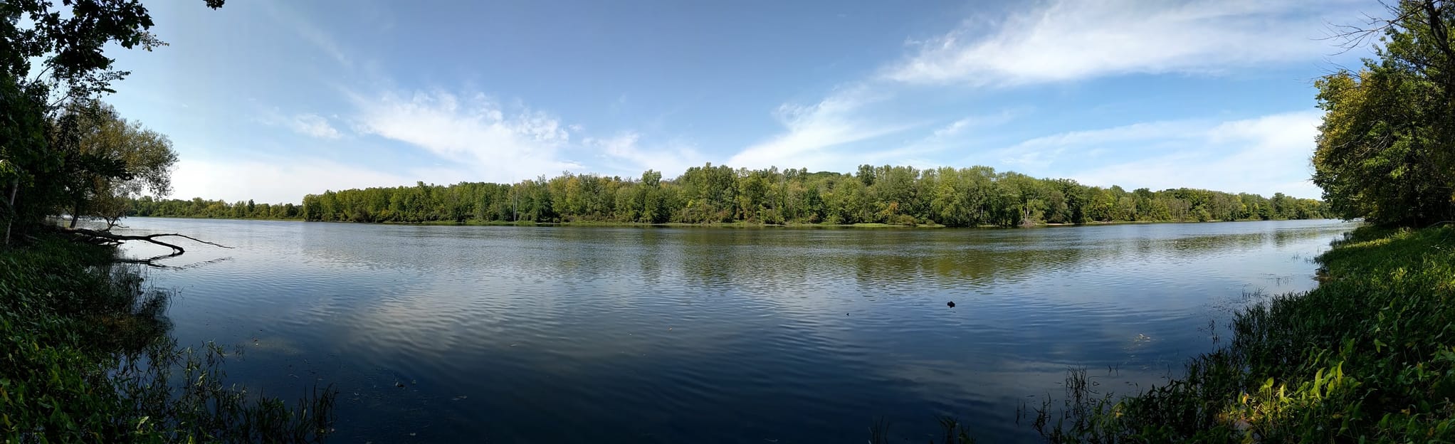 Donald J Lamoreaux Park Loop, Michigan 360 Reviews, Map AllTrails