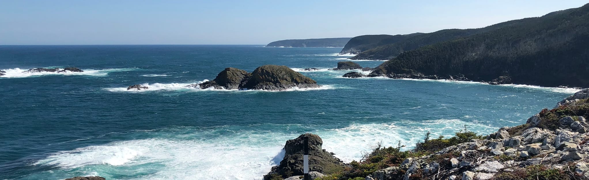 East Coast Trail to Cripple Cove 47 Reviews, 115 Photos, Map Newfoundland and Labrador