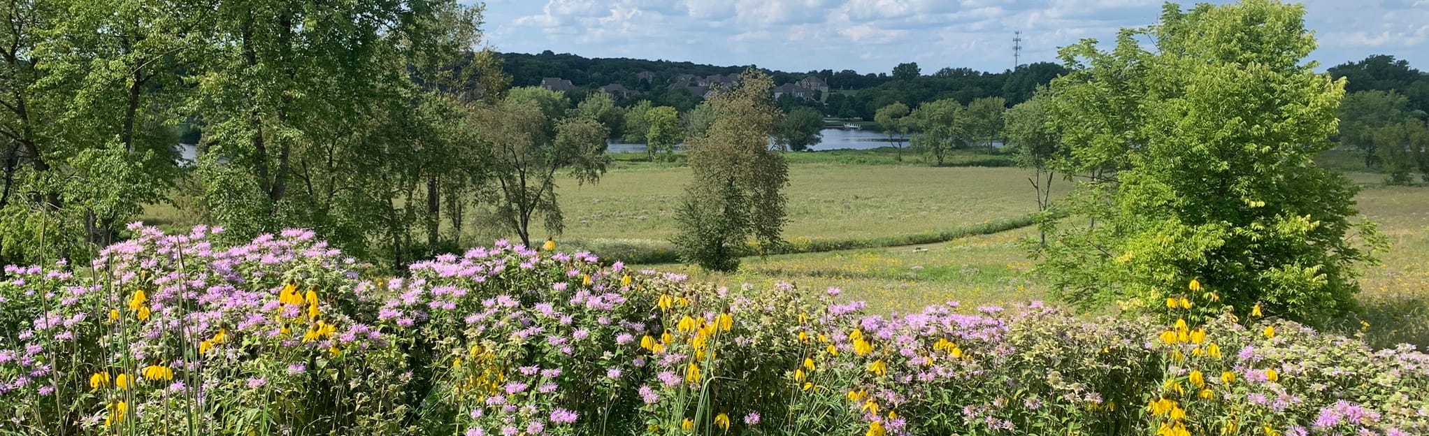 Grassy Lake Red Trail From Village Hall 66 Reviews, Map Illinois