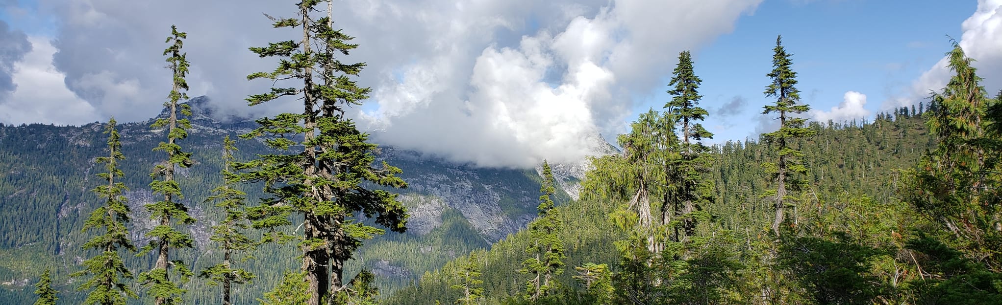 Emma Lake Trail 122 Zdjęcia Kolumbia Brytyjska, Kanada AllTrails