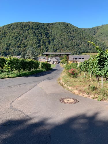 Moselsteig Etappe 17: Ediger-Eller - Beilstein
