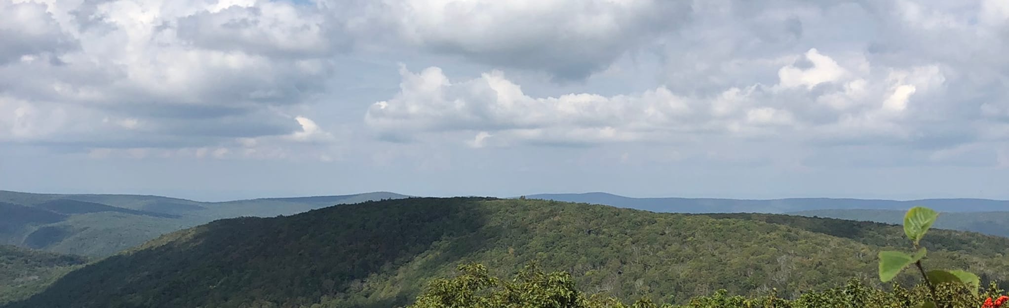 Bald Knob Trail 268 Reviews, Map Virginia AllTrails