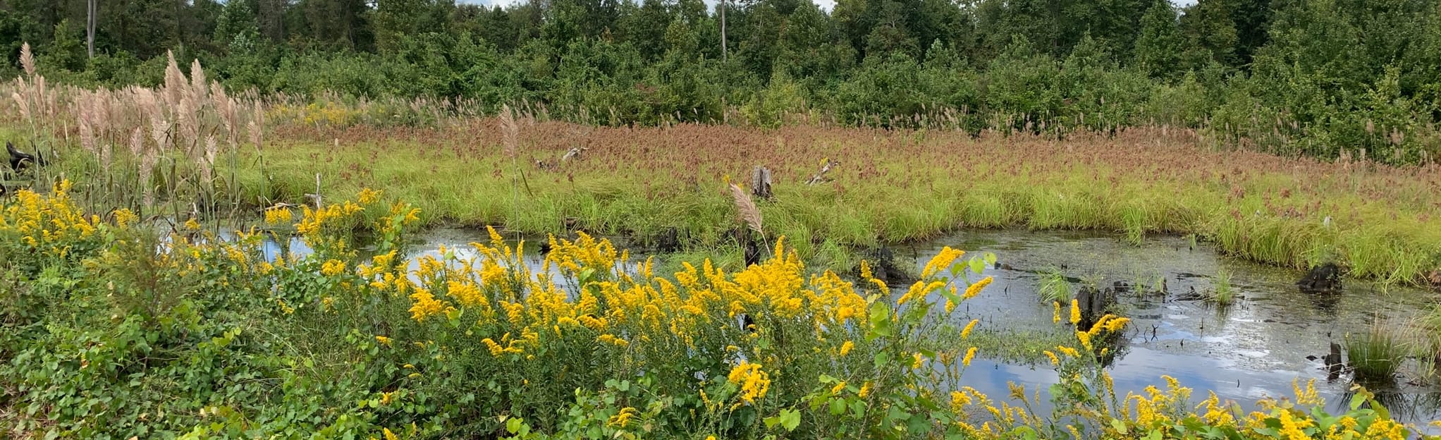 Interior Ditch Trail, North Carolina 15 Reviews, Map AllTrails