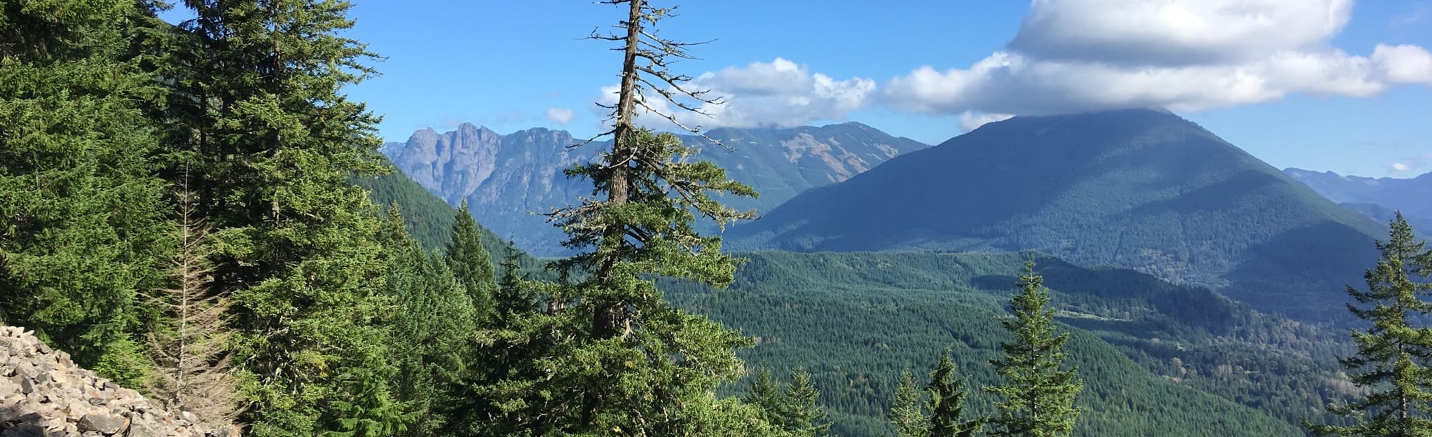 Talus Loop Trail, Washington - 1,088 Reviews, Map | AllTrails