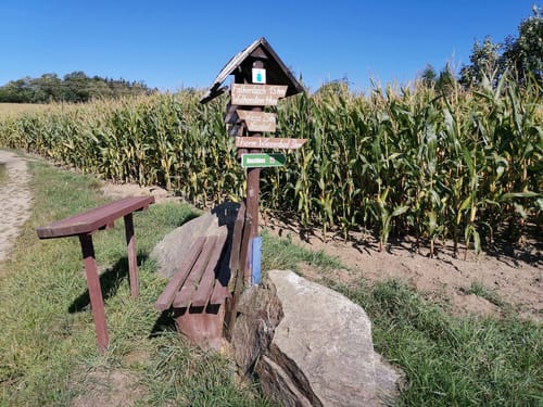 Ehrenfriedersdorf, Neundorf, und Heidelbach Rundweg