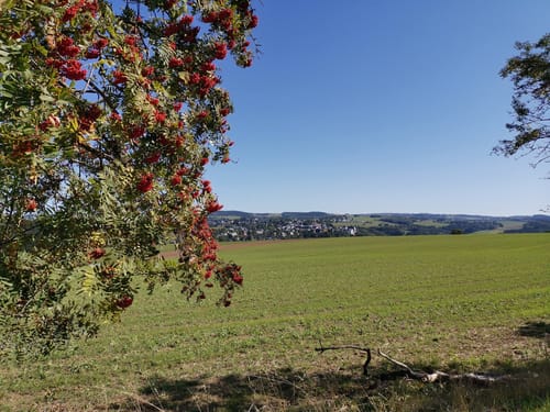 Ehrenfriedersdorf, Neundorf, und Heidelbach Rundweg