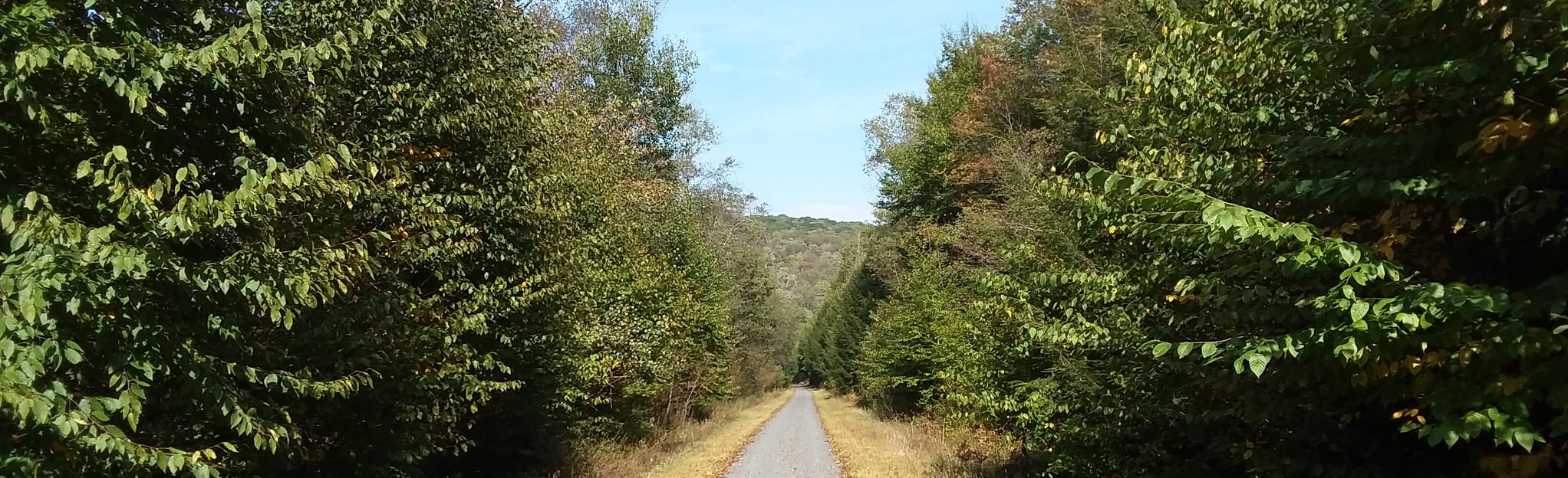 West Creek Rail Trail Emporium to Saint Mary's, Pennsylvania 28 Reviews, Map AllTrails