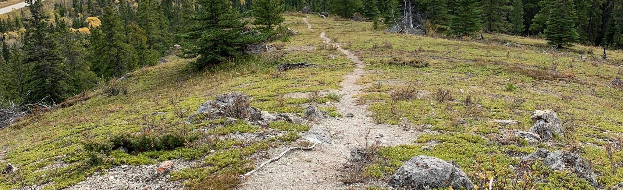 Flag Hill, Alberta, Canada 26 Reviews, Map AllTrails