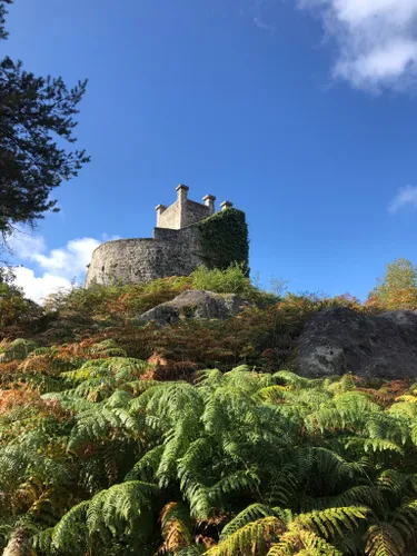 Le Parc du Château de Fontainebleau [Walk #2]