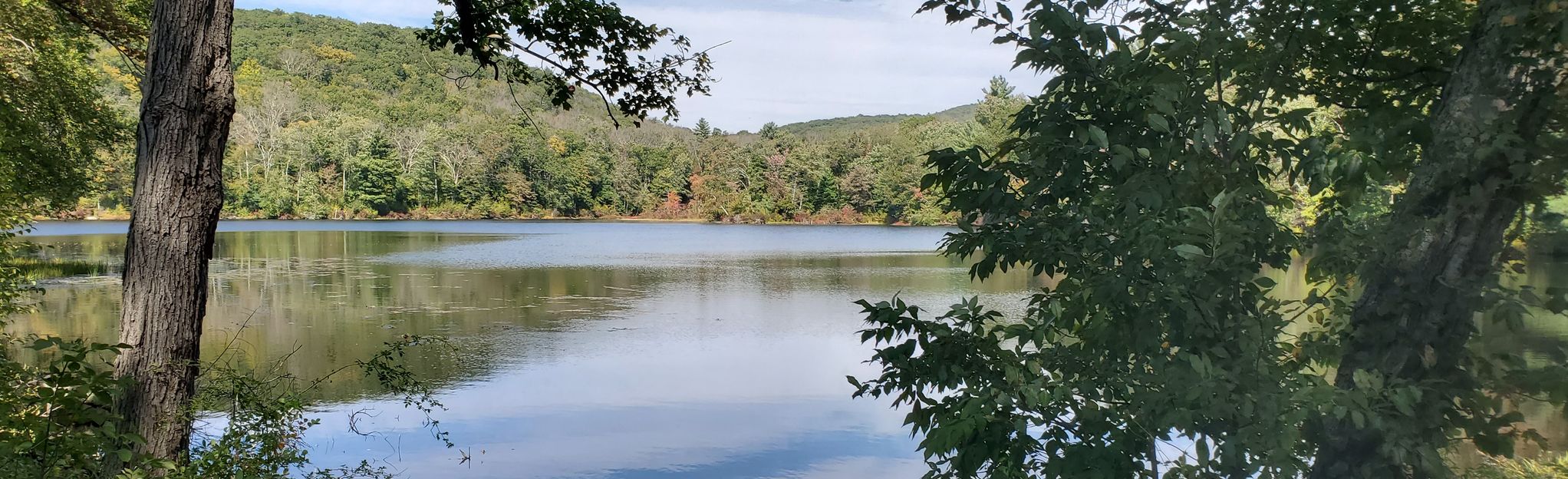 Camp Aya-Po Hurd's Lake Loop: 49 Reviews, Map - Connecticut | AllTrails