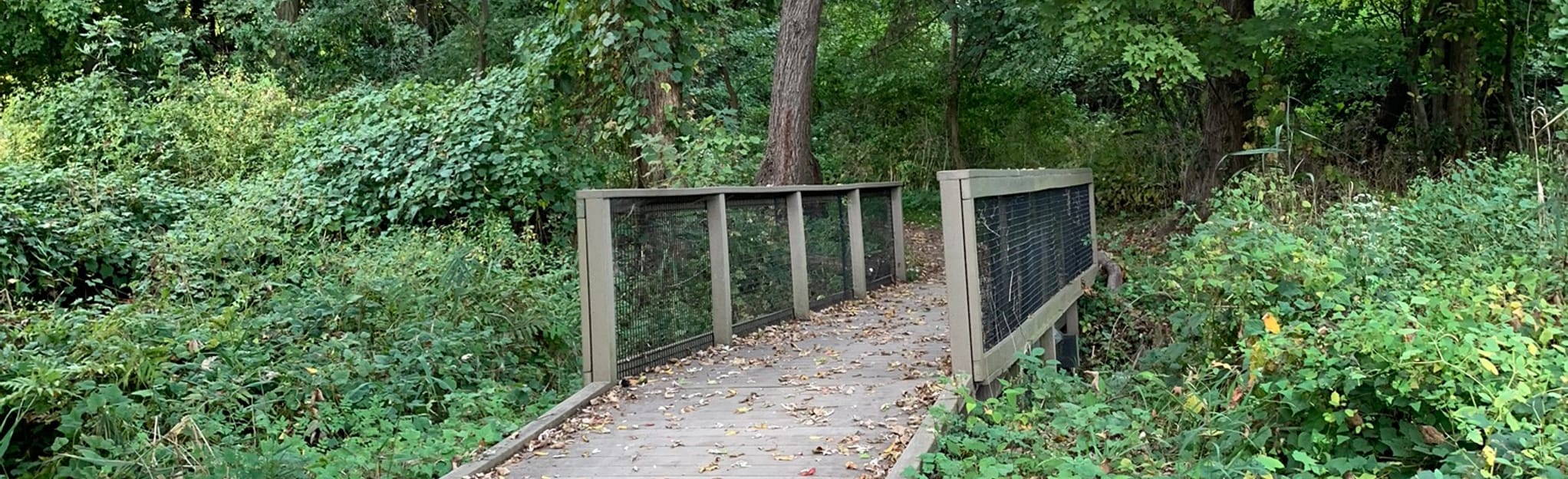 Teaneck Creek Conservatory Green, Red, and Blue Trail, New Jersey 78
