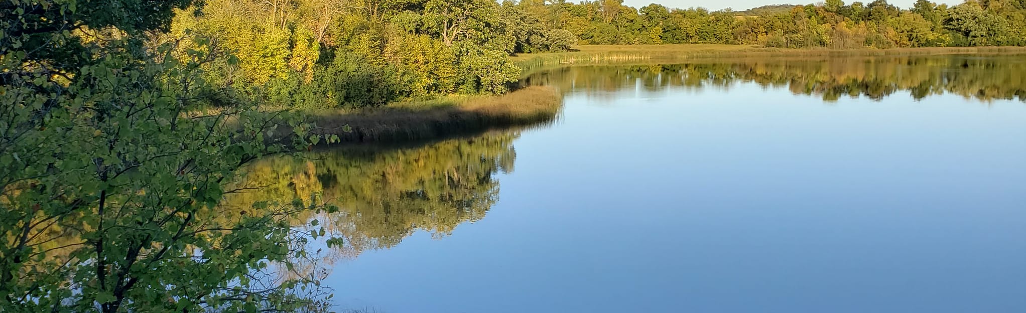Runestone Park Loop, Minnesota - 73 Reviews, Map | AllTrails